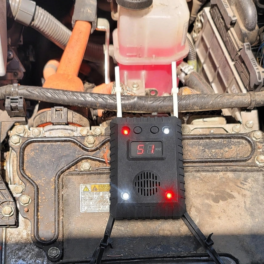 Photo from Steven R.'s review
