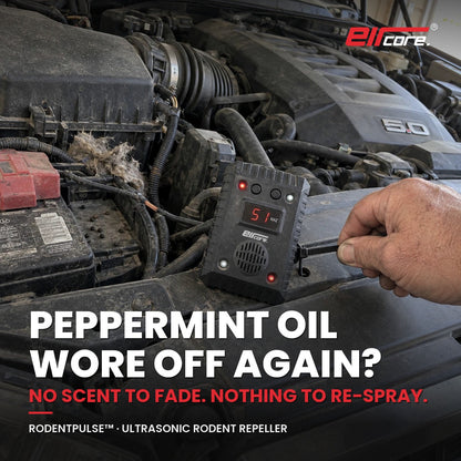 Hand zip-tying the EirCore RodentPulse ultrasonic rodent repeller to the radiator support of a pickup engine bay with signs of mice: droppings, nest material and a chewed wire